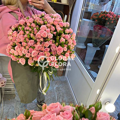 Кустовая роза, 60 см, расцветки в ассортименте